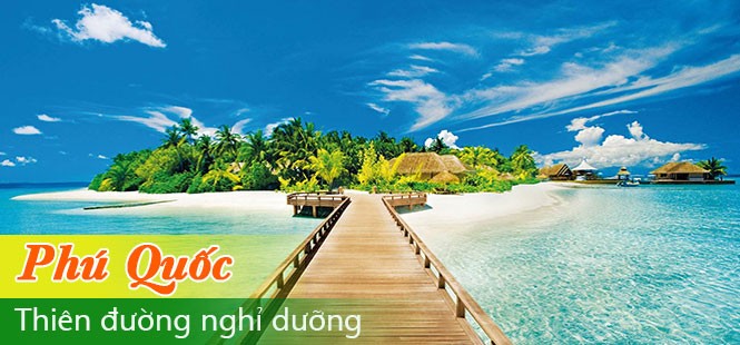 thiết kế website resort, khách sạn ở Phú Quốc