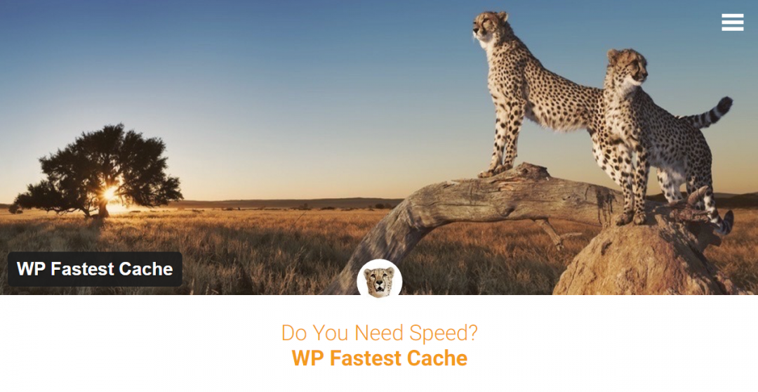 Káº¿t quáº£ hÃ¬nh áº£nh cho WP Fastest Cache