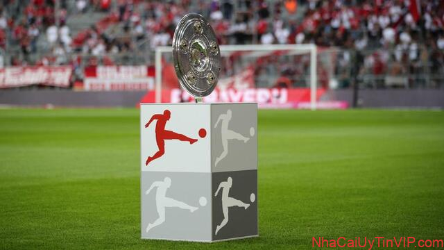 Bundesliga, được thành lập vào năm 1962, có 56 câu lạc bộ đang chơi trong giải đấu