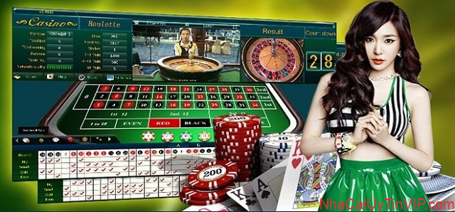 Sân chơi cá cược Casino được tổ chức công bằng và minh bạch