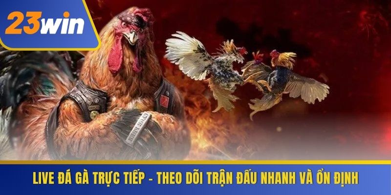 Live Đá Gà Trực Tiếp